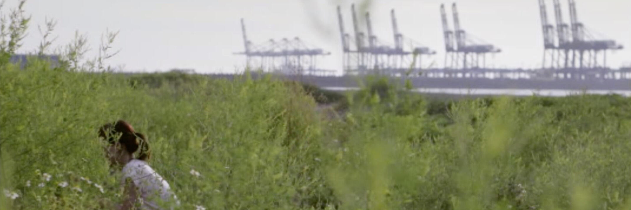 禁止下錨 Anchorage Prohibited